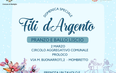 Fili d’argento